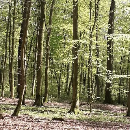 Le Des Marcassins Ferienhaus