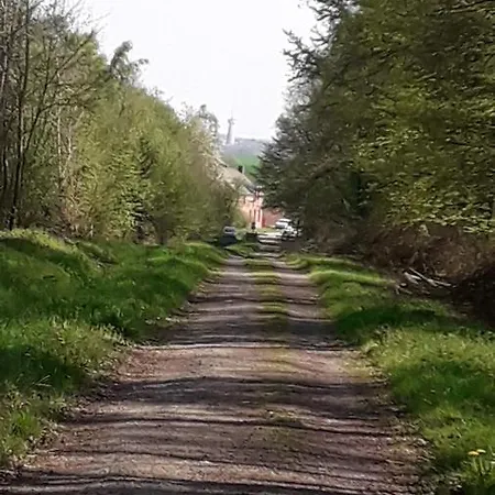 Ferienhaus Le Des Marcassins *